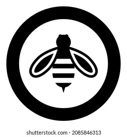 Bienenhonigsymbol in kreisrunden schwarzen Vektorgrafik auf solidem Grundriss