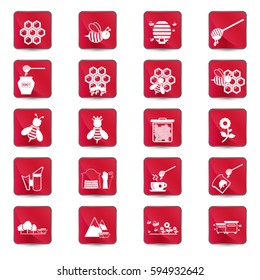Bee and honey icon set