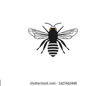 Bee honey icon. Vector illustration, flat design.