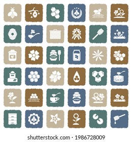 Bee And Honey Icons. Grunge Color Flat Design. Vector Illustration.