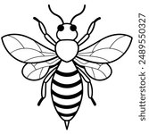 Bee, honey bee isolated on a white background. Naturalistic, scientific, botanical engraved illustration, vector drawing,