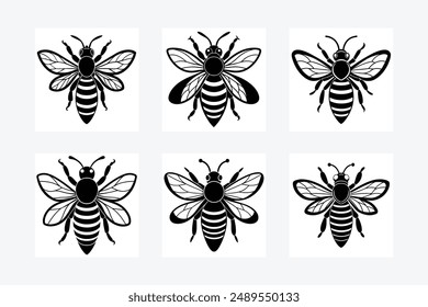 Bee, honey bee isolated on a white background. Naturalistic, scientific, botanical engraved illustration, vector drawing,