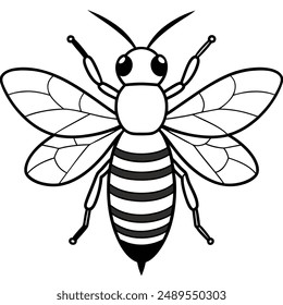 Bee, honey bee isolated on a white background. Naturalistic, scientific, botanical engraved illustration, vector drawing,