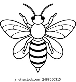 Bee, honey bee isolated on a white background. Naturalistic, scientific, botanical engraved illustration, vector drawing,