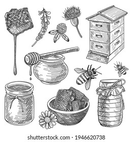 Bee, honey in jar, beehive, honeycomb, spoon, flowers, set. Organic food vector illustration. Hand drawn elements collection. Beekeeping and apiculture concept