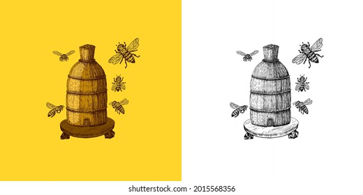  Abeja y miel. Carne, insectos, floridos y apicultura. Esbozo antiguo de la época de la camiseta, la tipografía o la insignia para la camiseta o la tipografía o la insignia. Ilustración del vector