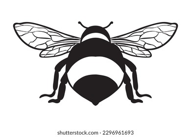 Bee, Honey bee, Queen Bee, Handwritten Bee, Bumble 