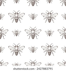 Bee, honey bee seamless pattern, background. Naturalistic, scientific, botanical engraved illustration, vector drawing