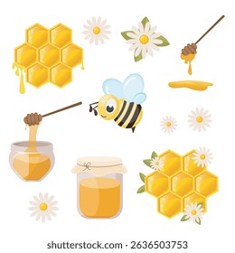 Bee honey set with honeycomb illustration