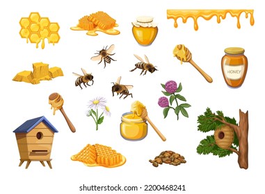 Bee honey set vector illustration. Cartoon honeycomb and honeybee insects, isolated wooden house and hive on tree, glass jar with yellow nectar and spoon, liquid drops flow and melt on border