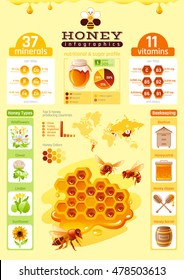 Bee Honey Template Infographics. Vitamin, Mineral Diagram, Honeybee Logo, World Map, Food Cartoon Icon - Flowers, Honeycomb, Beehive, Color Background. Modern Elegant Beekeeping Vector Illustration