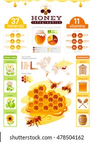 Bee Honey Template Infographics. Vitamin, Mineral Diagram, Honeybee Logo, World Map, Food Cartoon Icon - Flowers, Honeycomb, Beehive, White Background. Modern Elegant Beekeeping Vector Illustration