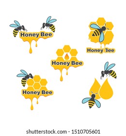 bee with honey  vector illustration design