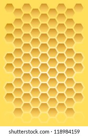 Bee honeycomb