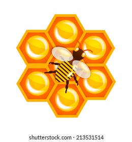 Bee and honeycomb