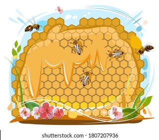 Bee honeycomb. Bees collect nectar, get honey, put it in wax cells. Vector isolated object on white background. Trickles of honey, flowers, summer.
