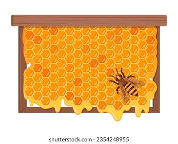 Bee with honeycomb. Cartoon honeycomb with sweet melting honey, honeycraft and beekeeping concept. Honey bee sitting on honeycomb flat vector illustration