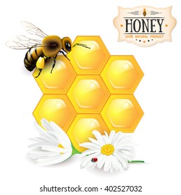 Bee, honeycomb, daisies and honey label - vector illustration