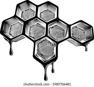 A bee honeycomb dripping with comb honey in a vintage woodcut retro style