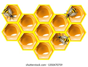  bee and honeycomb on white