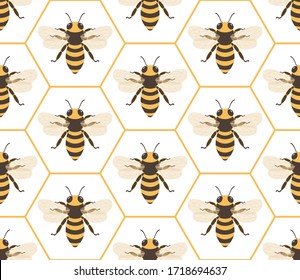 Bee in honeycomb pattern seamless repeat in flat style. Vector illustration