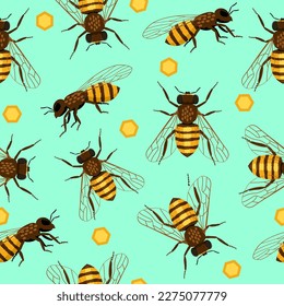 Bee and honeycomb seamless pattern repeat in flat style. Spring green background. Vector illustration