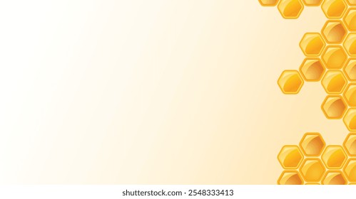 bee honeycomb template background  vector design illustration