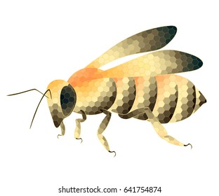 Bee in honeycomb texture. Bee vector illustration drawn in golden honey beehive pattern.