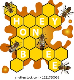 Bee honeycomb vector and background