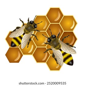 Bee and Honeycomb Vector, a collection of detailed bee and honeycomb vector designs, perfect for nature-inspired projects, logos, packaging, and more. Easily scalable for a wide range of creative uses