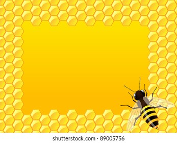 Bee with honeycomb. Vector illustration.