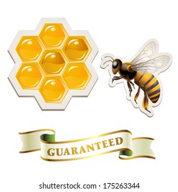 Bee with honeycombs