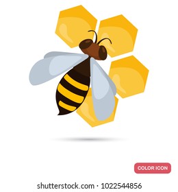 Bee with honeycombs color flat icon