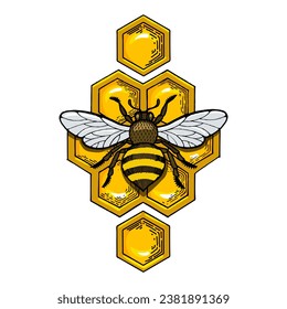 Bee and honeycombs engraving sketch hand drawn color vector illustration. Scratch board style imitation. Hand drawn image.