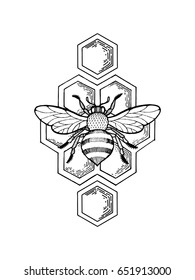 Bee and honeycombs engraving vector illustration. Scratch board style imitation. Hand drawn image.