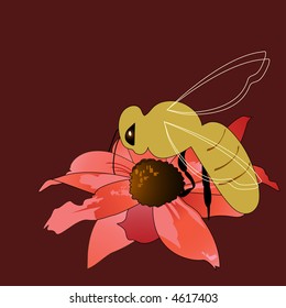 bee hornet on flower that  is starting to die with the season vector