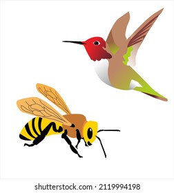 Bee And Hummingbird Honey-eating Bird Vector