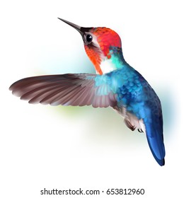 Bee Hummingbird - Mellisuga helenae.
Realistic vector illustration of a flying male, the world’s smallest bird with colorful iridescent plumage on white background.
