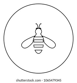 Bee icon black color in circle