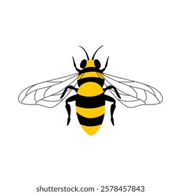 Bee icon. Black and yellow honey bee isolated on white background. Vector hand drawn print, design element, insect illustration.