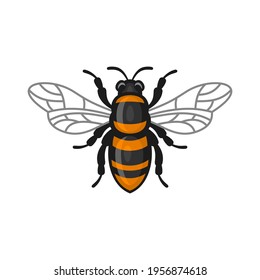 Bee Icon. Bug Flat Style Logo on White Background. Vector