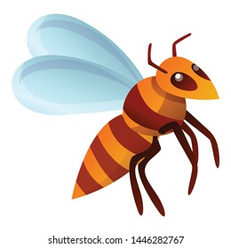 Bee icon. Cartoon of bee vector icon for web design isolated on white background