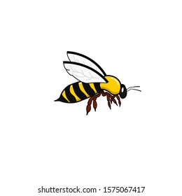 Bee icon Conceptual Design Ilustration Vector