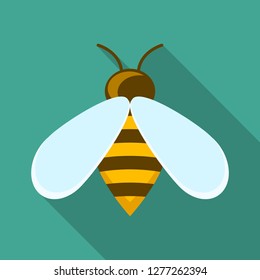 Bee icon. Flat illustration of bee vector icon for web design