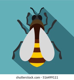Bee icon. Flat illustration of bee vector icon for web