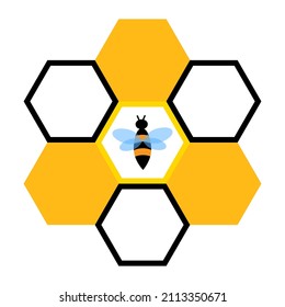 Bee icon. Honeycomb symbol. Golden and black. Realistic design. Natural background. Vector illustration. Stock image. 