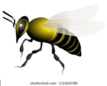 A bee icon isolated on a white background.