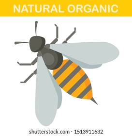 Bee icon isolated on white background Template Design. Honey flying bee. Insect vector flat icons cartoon design eps10 illustration.