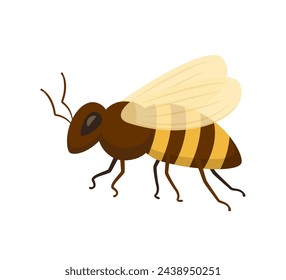 Bee icon isolated on white background. Honey flying bee. Insect. Vector illustration