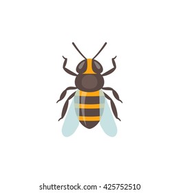 Bee icon. Isolated bee icon on white background. Vector illustration.